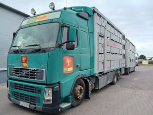 nákladné auto na prepravu zvierat Volvo FH 480 + príves na prepravu zvierat