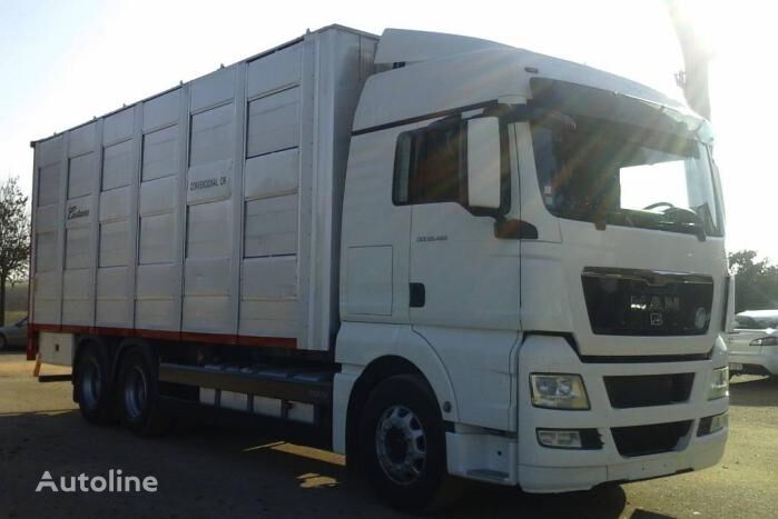 nákladné auto na prepravu zvierat MAN TGX 28 480
